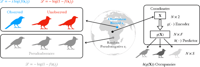 Figure 3 for Hybrid Spatial Representations for Species Distribution Modeling