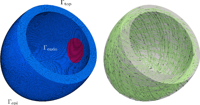Figure 1 for Non-Intrusive Parametrized-Background Data-Weak Reconstruction of Cardiac Displacement Fields from Sparse MRI-like Observations