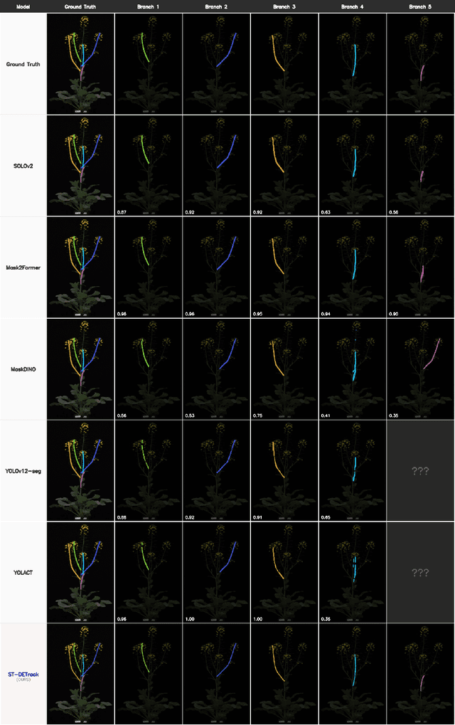 Figure 4 for ST-DETrack: Identity-Preserving Branch Tracking in Entangled Plant Canopies via Dual Spatiotemporal Evidence