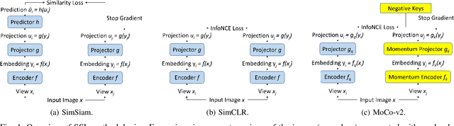 Figure 1 for Label-free Monitoring of Self-Supervised Learning Progress