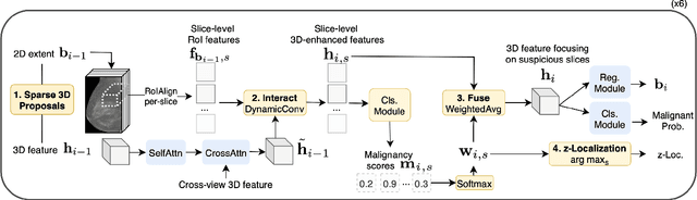 Figure 3 for From 2D to 3D Without Extra Baggage: Data-Efficient Cancer Detection in Digital Breast Tomosynthesis