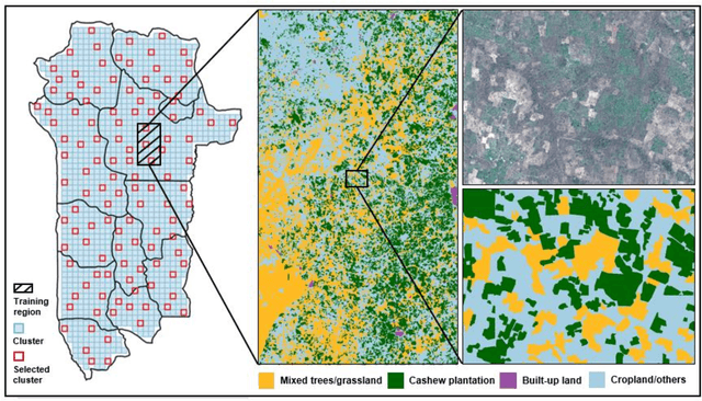 Figure 3 for Mapping smallholder cashew plantations to inform sustainable tree crop expansion in Benin