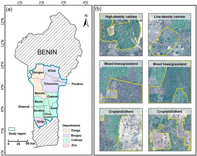 Figure 1 for Mapping smallholder cashew plantations to inform sustainable tree crop expansion in Benin