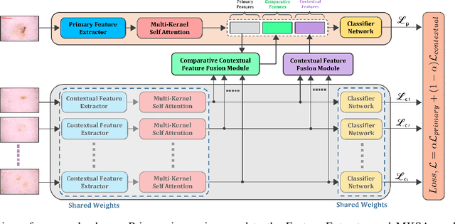 Figure 2 for CIFF-Net: Contextual Image Feature Fusion for Melanoma Diagnosis