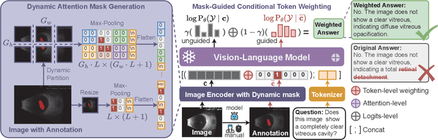 Figure 3 for Anatomical Region-Guided Contrastive Decoding: A Plug-and-Play Strategy for Mitigating Hallucinations in Medical VLMs
