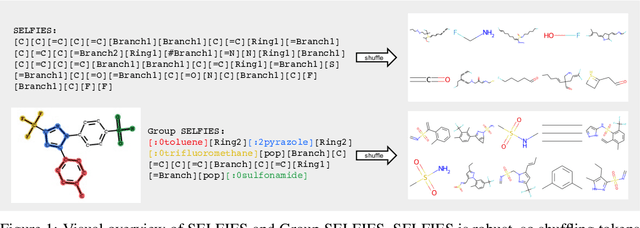 Figure 1 for Group SELFIES: A Robust Fragment-Based Molecular String Representation