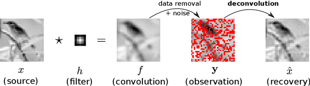 Figure 1 for Gaussian process deconvolution