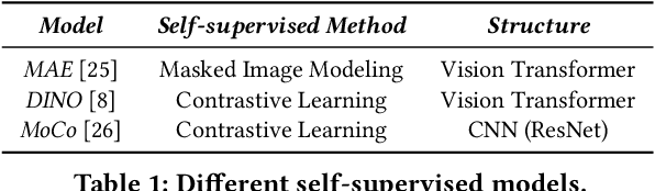 Figure 2 for A Unified Membership Inference Method for Visual Self-supervised Encoder via Part-aware Capability