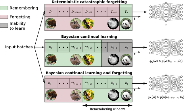 Figure 1 for Bayesian continual learning and forgetting in neural networks