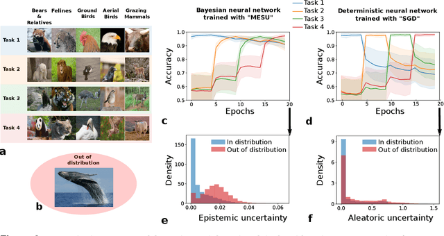 Figure 3 for Bayesian continual learning and forgetting in neural networks