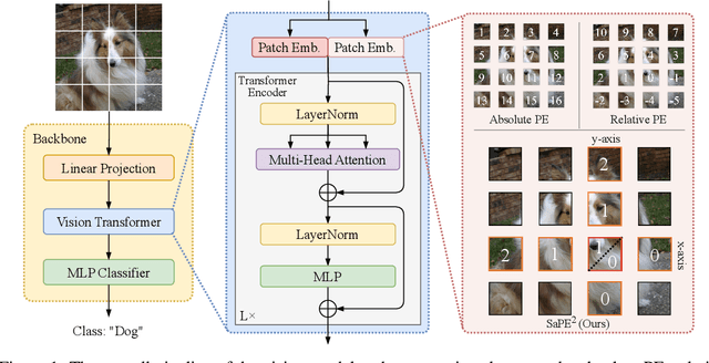Figure 1 for A 2D Semantic-Aware Position Encoding for Vision Transformers