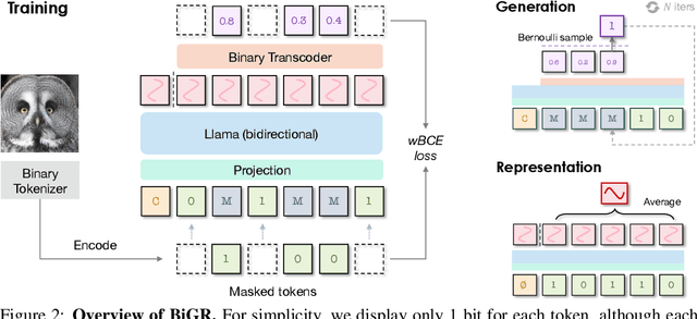 Figure 1 for BiGR: Harnessing Binary Latent Codes for Image Generation and Improved Visual Representation Capabilities