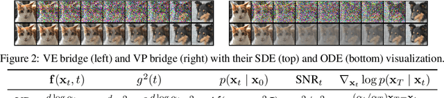 Figure 3 for Denoising Diffusion Bridge Models