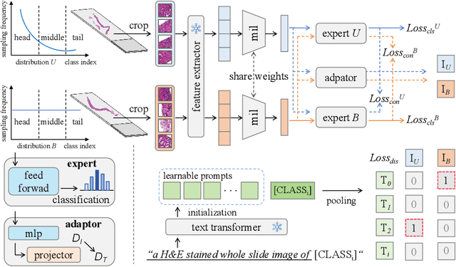 Figure 1 for Multimodal Distillation-Driven Ensemble Learning for Long-Tailed Histopathology Whole Slide Images Analysis
