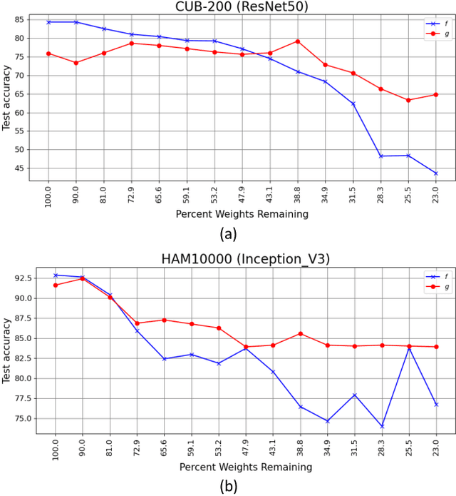 Figure 3 for Exploring the Lottery Ticket Hypothesis with Explainability Methods: Insights into Sparse Network Performance
