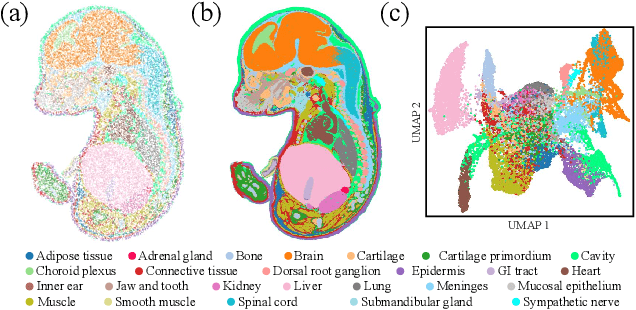 Figure 1 for SUICA: Learning Super-high Dimensional Sparse Implicit Neural Representations for Spatial Transcriptomics
