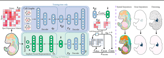 Figure 3 for SUICA: Learning Super-high Dimensional Sparse Implicit Neural Representations for Spatial Transcriptomics