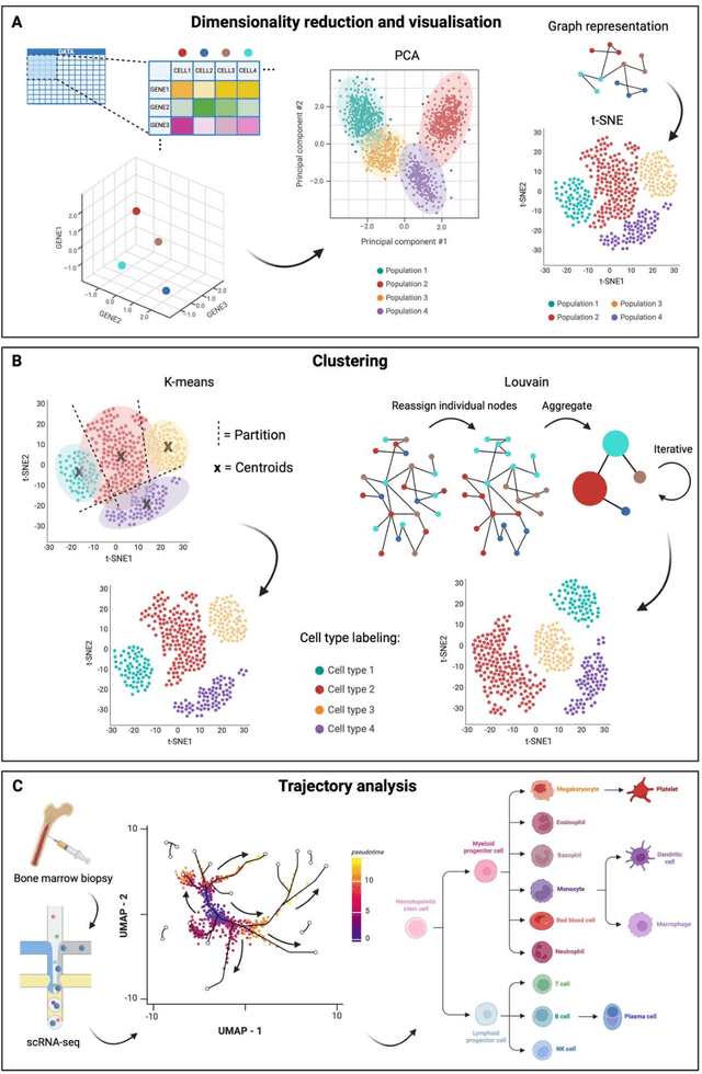 Figure 4 for Understanding Biology in the Age of Artificial Intelligence