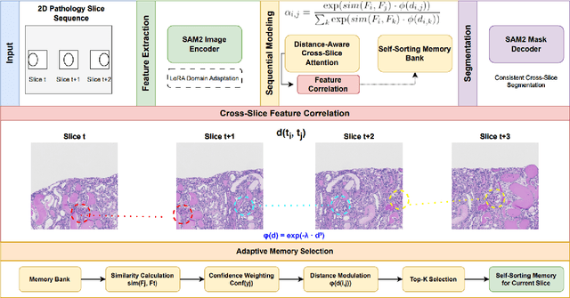 Figure 1 for PathSeqSAM: Sequential Modeling for Pathology Image Segmentation with SAM2