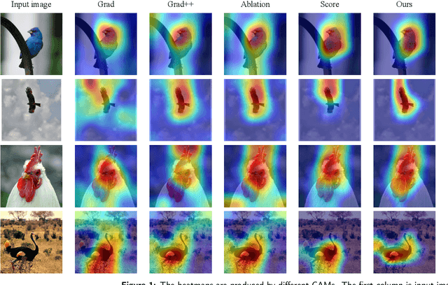 Figure 1 for Cluster-CAM: Cluster-Weighted Visual Interpretation of CNNs' Decision in Image Classification