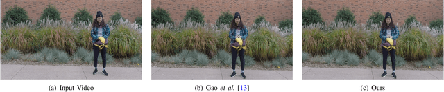 Figure 1 for Decoupling Dynamic Monocular Videos for Dynamic View Synthesis