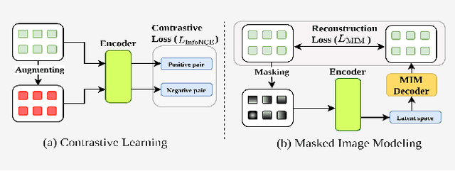 Figure 1 for MIMRS: A Survey on Masked Image Modeling in Remote Sensing