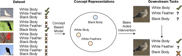Figure 1 for Understanding Inter-Concept Relationships in Concept-Based Models