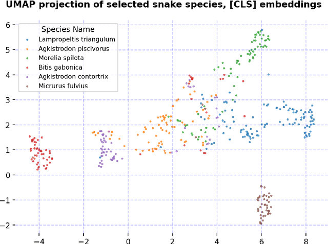 Figure 3 for Transfer Learning with Self-Supervised Vision Transformers for Snake Identification