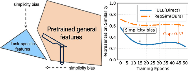 Figure 1 for Keeping Representation Similarity in Finetuning for Medical Image Analysis