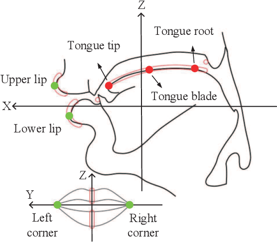 Figure 1 for Speech Emotion Recognition with Phonation Excitation Information and Articulatory Kinematics