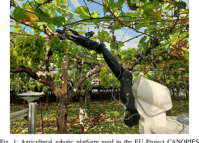 Figure 1 for AgriSORT: A Simple Online Real-time Tracking-by-Detection framework for robotics in precision agriculture