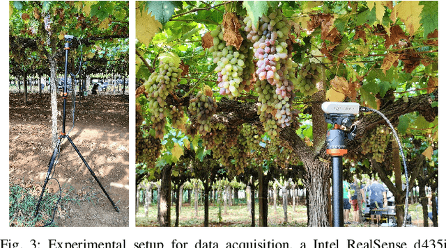 Figure 3 for AgriSORT: A Simple Online Real-time Tracking-by-Detection framework for robotics in precision agriculture