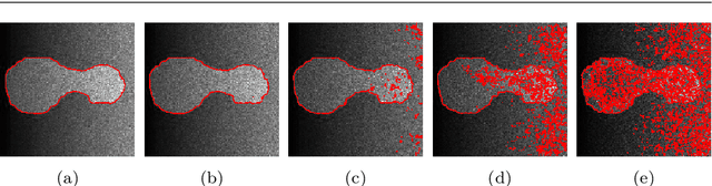 Figure 3 for An ICTM-RMSAV Framework for Bias-Field Aware Image Segmentation under Poisson and Multiplicative Noise