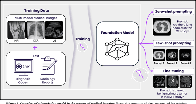 Figure 1 for HOPPR Medical-Grade Platform for Medical Imaging AI