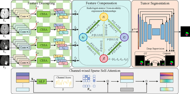 Figure 1 for Decoupling Feature Representations of Ego and Other Modalities for Incomplete Multi-modal Brain Tumor Segmentation
