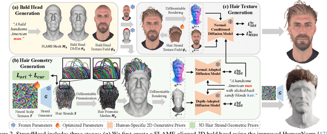 Figure 2 for StrandHead: Text to Strand-Disentangled 3D Head Avatars Using Hair Geometric Priors
