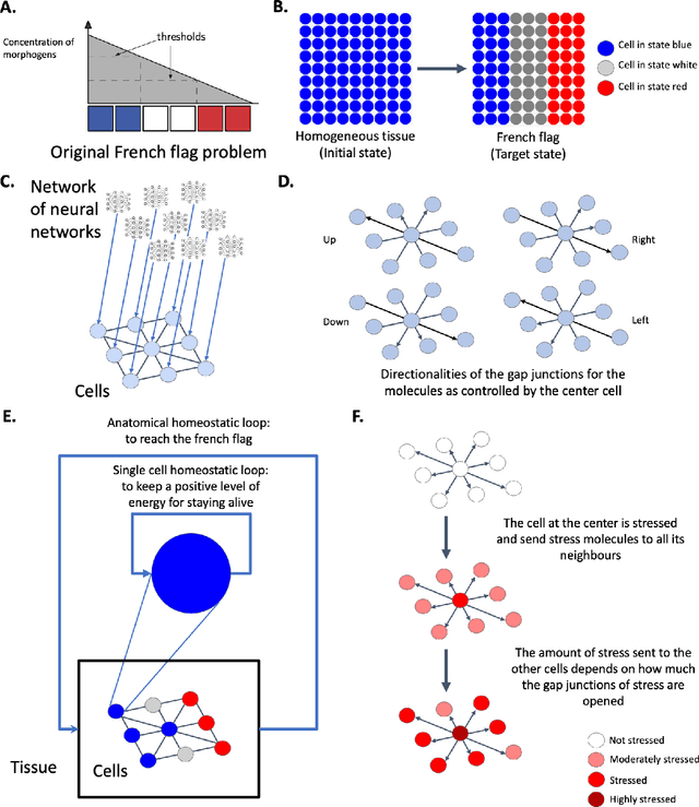 Figure 1 for The scaling of goals via homeostasis: an evolutionary simulation, experiment and analysis