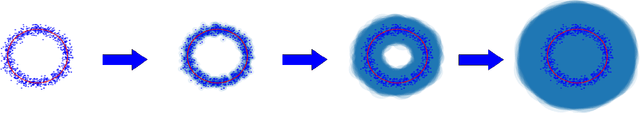 Figure 1 for Filtration learning in exact multi-parameter persistent homology and classification of time-series data