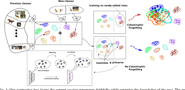 Figure 1 for Prototypical quadruplet for few-shot class incremental learning