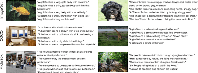 Figure 3 for Aggregate-and-Adapt Natural Language Prompts for Downstream Generalization of CLIP