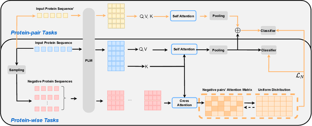 Figure 1 for Boosting Protein Language Models with Negative Sample Mining