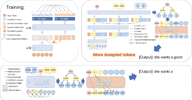 Figure 3 for Parallel Decoding via Hidden Transfer for Lossless Large Language Model Acceleration