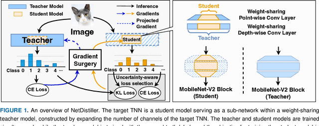 Figure 1 for NetDistiller: Empowering Tiny Deep Learning via In-Situ Distillation