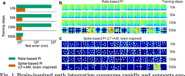 Figure 2 for Self-motion as a structural prior for coherent and robust formation of cognitive maps