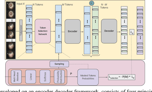 Figure 1 for $\mathsf{CSMAE~}$:~Cataract Surgical Masked Autoencoder (MAE) based Pre-training