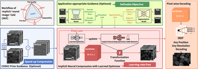 Figure 1 for Implicit Neural Image Field for Biological Microscopy Image Compression