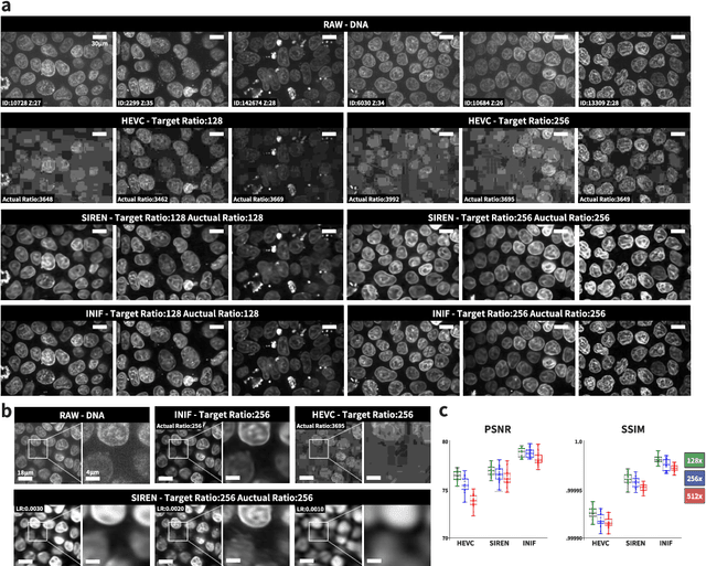 Figure 3 for Implicit Neural Image Field for Biological Microscopy Image Compression