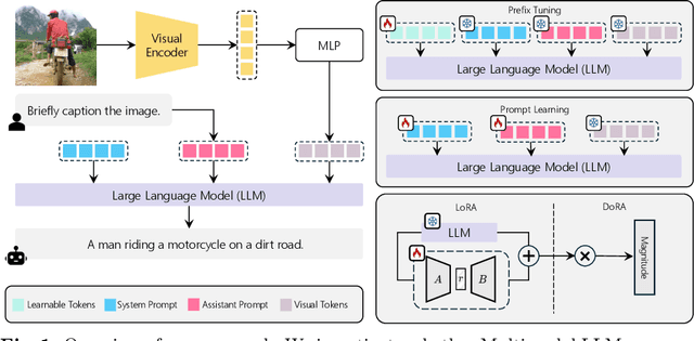 Figure 1 for Personalizing Multimodal Large Language Models for Image Captioning: An Experimental Analysis