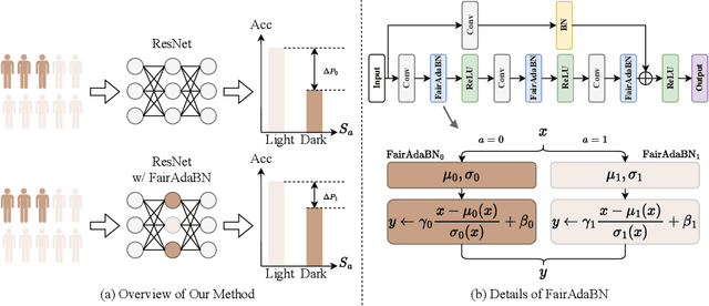 Figure 1 for FairAdaBN: Mitigating unfairness with adaptive batch normalization and its application to dermatological disease classification