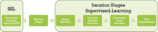 Figure 1 for Mitigating Instance-Dependent Label Noise: Integrating Self-Supervised Pretraining with Pseudo-Label Refinement
